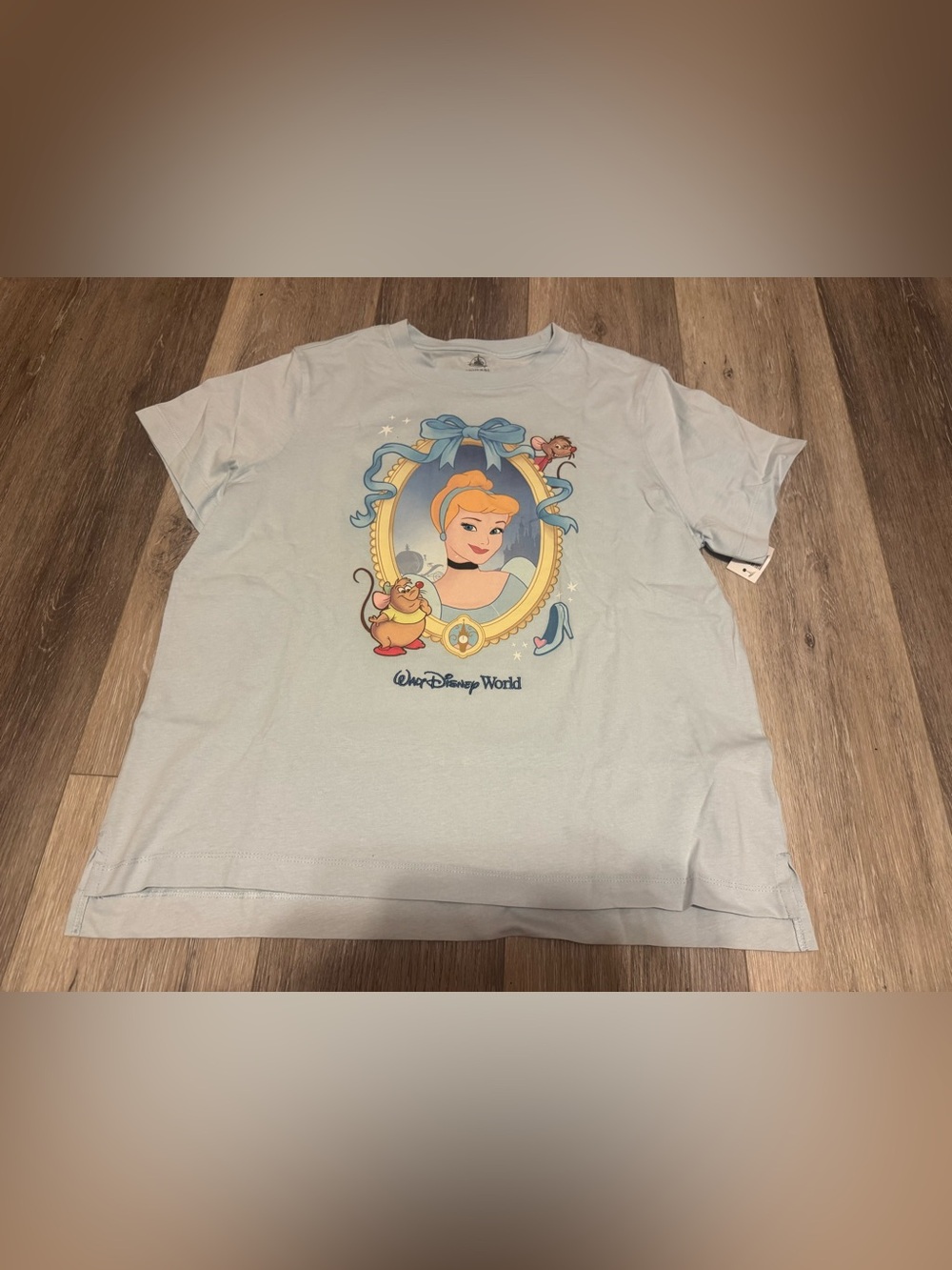 Disney Parks 2026 WDW Princess Portrait Cinderella Shirt Adult Small NWT